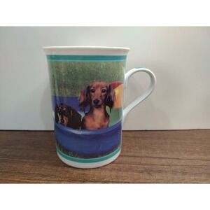Danbury Mint DARLING DACHSHUNDS Taking a Dip Porcelain Collector Mug Gift S1